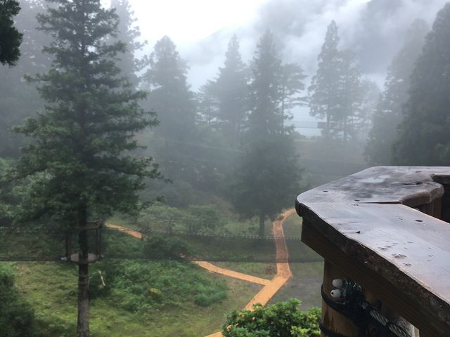 雨上がりで霧がでていてとても幻想的でした。_空中の村