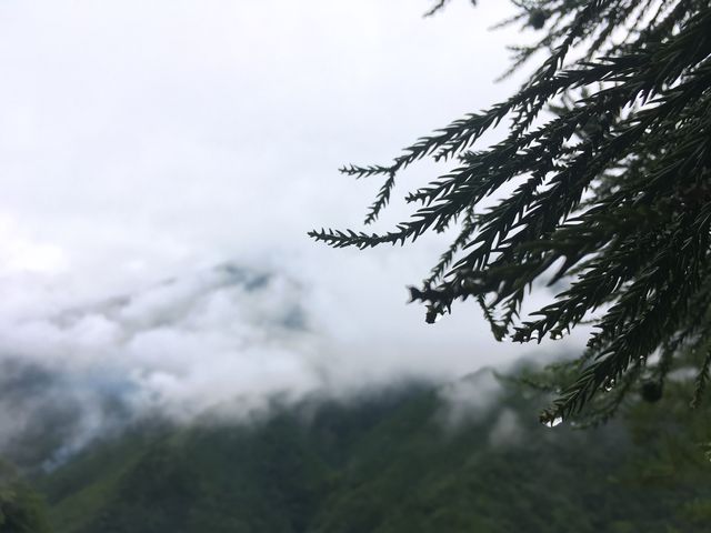 展望エリアからの写真です。雲が真正面に見え、近く感じます!_空中の村