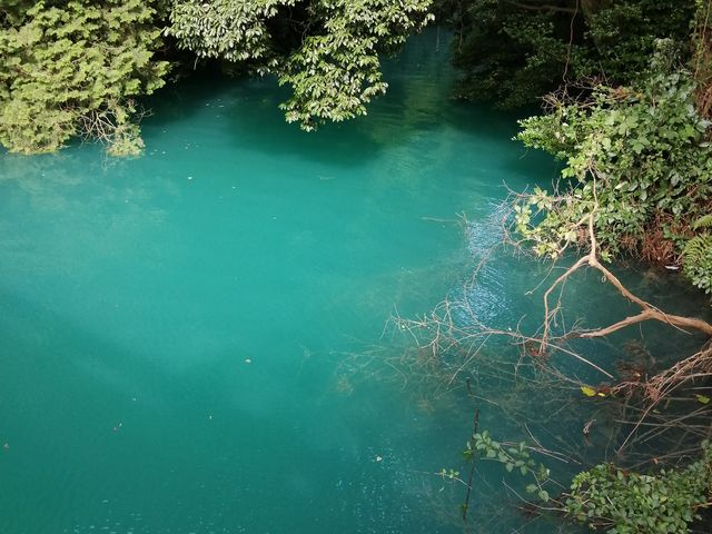 NOAさんの丹野池公園の投稿写真1