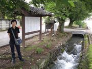モロさんの雄川堰の投稿写真2