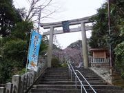 こぼらさんの金崎宮の投稿写真1