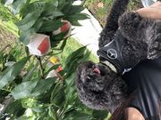 美月さんの金果園の投稿写真1