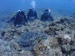 しょうさんのDIVING SHOP RYAAANへの投稿写真1