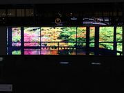 たかちゃんさんの京都駅の投稿写真1