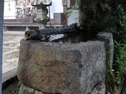 Yanwenliさんの雲樹寺の投稿写真5