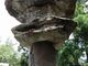 Yanwenliさんの佐太神社への投稿写真3