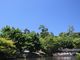 Yanwenliさんのぐるっと松江 堀川めぐりへの投稿写真3