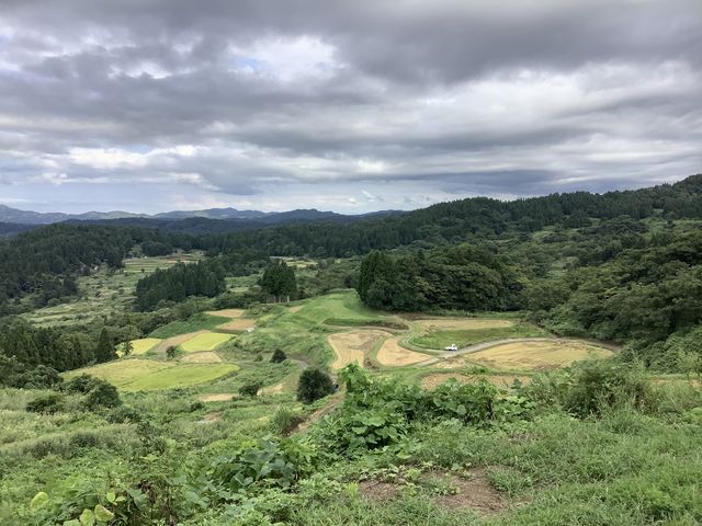 大ちゃんさんの大月の棚田の投稿写真2