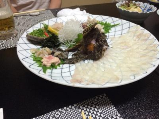 オコゼ_さかなちゃん