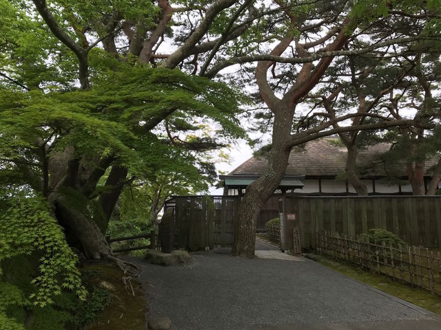 緑豊かな敷地に建つ観瀾亭_観瀾亭
