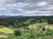 大ちゃんさんの大月の棚田の投稿写真1