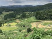 大ちゃんさんの大月の棚田の投稿写真3