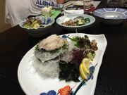 なべきちさんのさかなちゃんの投稿写真8