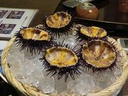 キヨさんの田吾作の投稿写真3