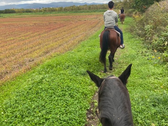 乗馬中の写真です。_クラークホースガーデン