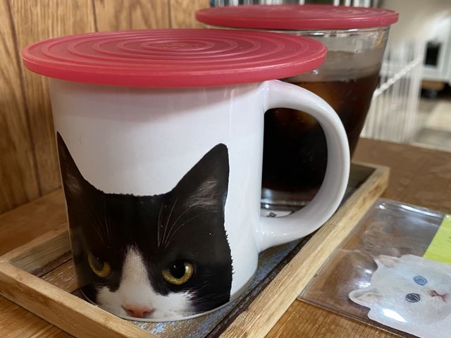 ワンドリンクオーダー制です。_猫カフェNYAON