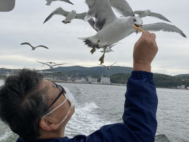 餌取りの匠さん・・・かな?_小樽海上観光船
