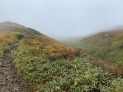 hijikigokeさんの越後駒ヶ岳・枝折峠登山口の投稿写真1