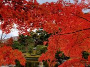 yu‐cyanさんの翠楽苑の投稿写真1