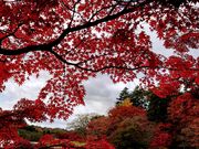yu‐cyanさんの南湖公園の投稿写真1