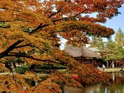 yu‐cyanさんの御薬園(会津松平氏庭園)の投稿写真1