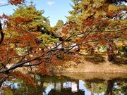 yu‐cyanさんの御薬園(会津松平氏庭園)の投稿写真1