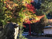 A3さんの内々神社の投稿写真1