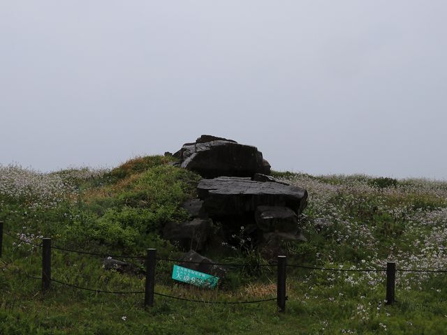 大きな石を積み上げた石室。_大成古墳群