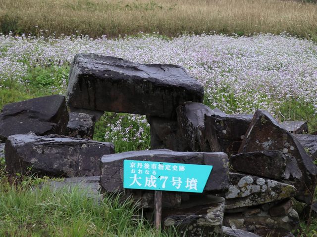 周りに花が咲き乱れていました。_大成古墳群