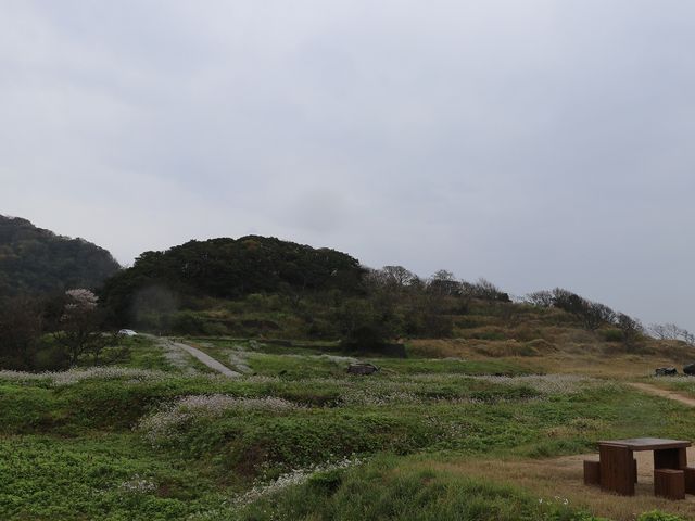 舗装はしてありませんが、駐車場もあります。_大成古墳群