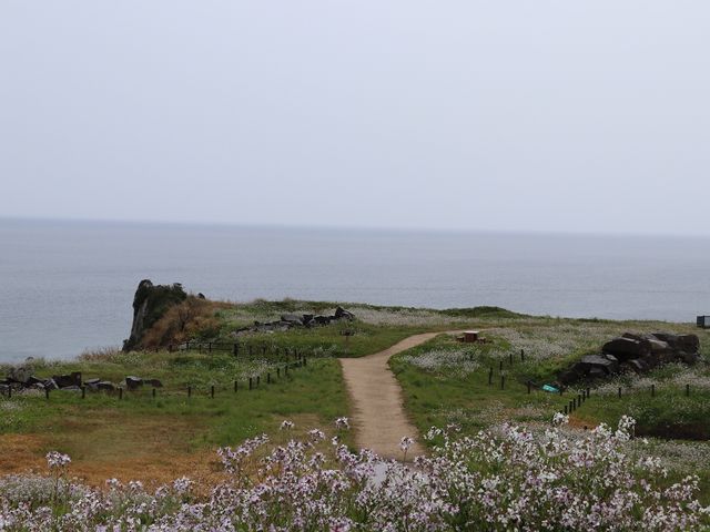 古墳群は岬の先端にあります。_大成古墳群