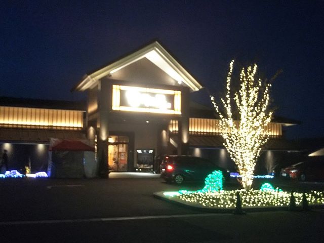 イルミネーションのきれいな玄関_龍泉寺