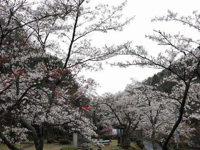 これで天気が良かったら…。_平地地蔵