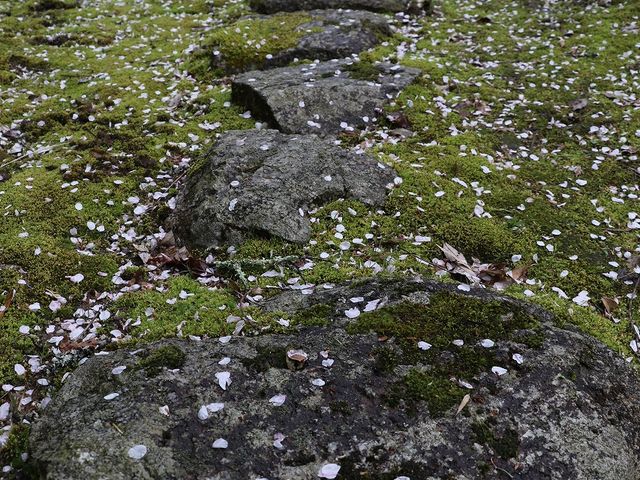 石の道。_平地地蔵