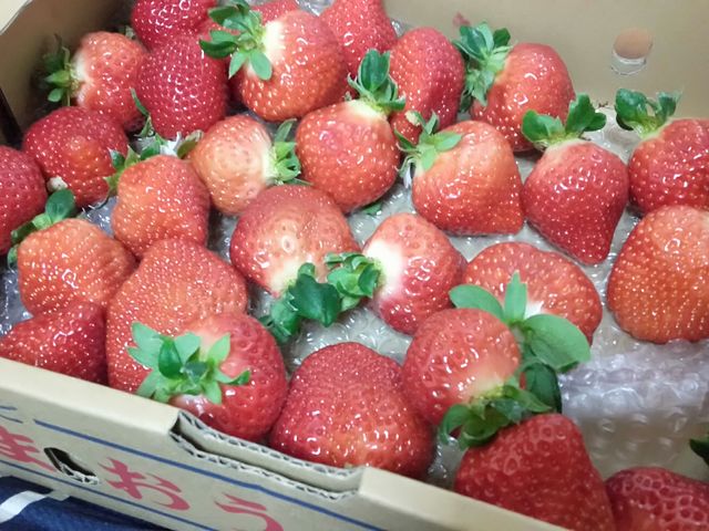 苺、あまおう_元気farm