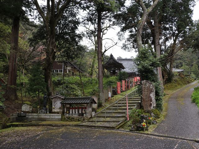 濡れた石段も風情があります。_縁城寺