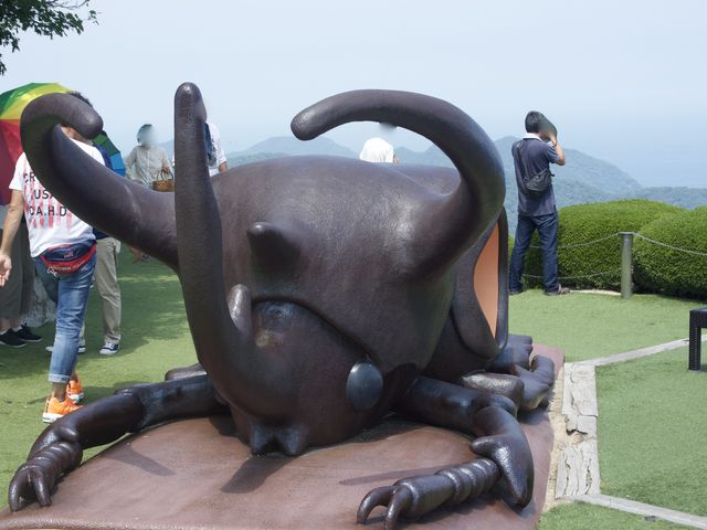 カブトムシ_レインボーライン山頂公園
