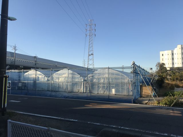 ハウスの外観_Ichina Farm