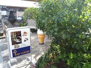 がろっとさんのラ・フォンテーヌの投稿写真2