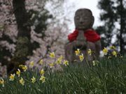 Yanwenliさんの平地地蔵の投稿写真8