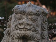 Yanwenliさんの香具波志神社の投稿写真4