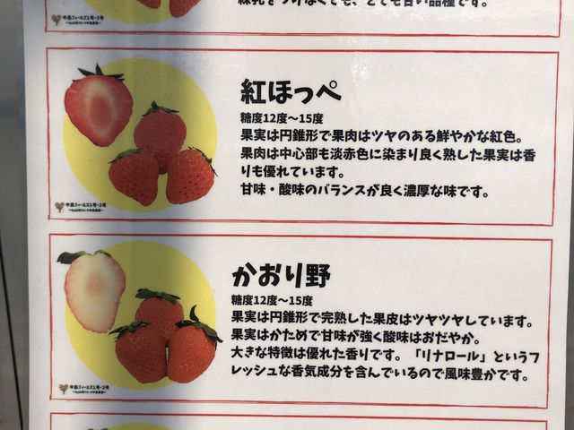 4品種_中島フィールズ