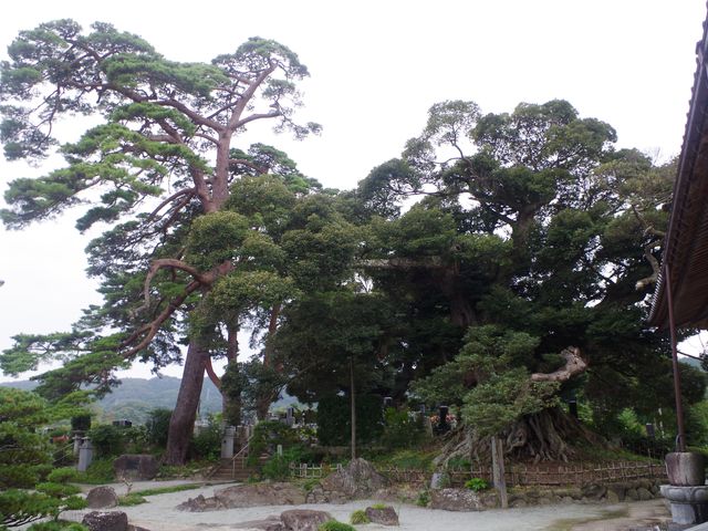称名寺