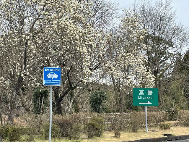 もうすぐ春_宮崎自動車道霧島レストラン下り線