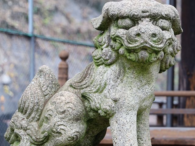 嘉永の銘がある狛犬。_鷺森神社