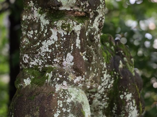 拝殿脇の狛犬。_大歳神社