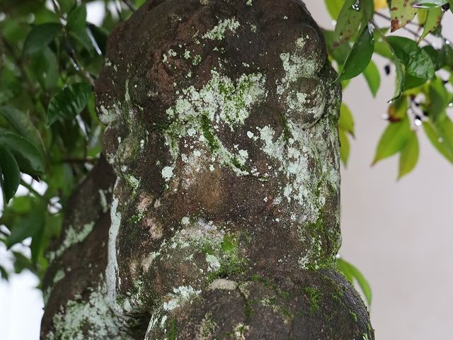 天保9年の銘がありました。_大歳神社