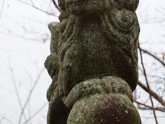 爆風で落下し方の狛犬。色が暗くなっています。_旭山神社