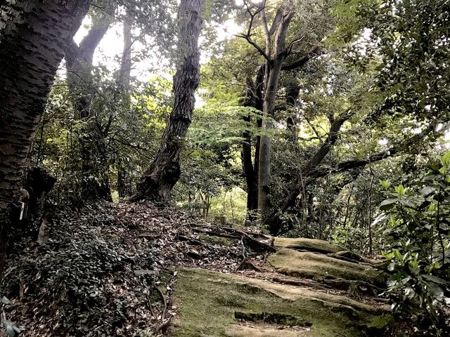 南口から馬の背の小径を歩き出して割とすぐの場所です。_散在ヶ池森林公園