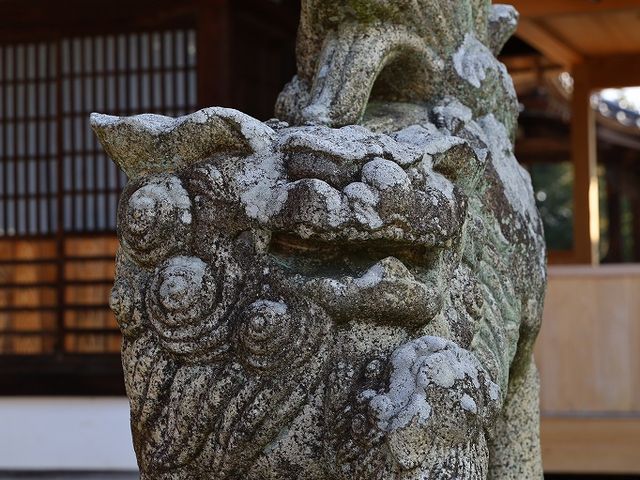 松尾神社の狛犬。_御建神社